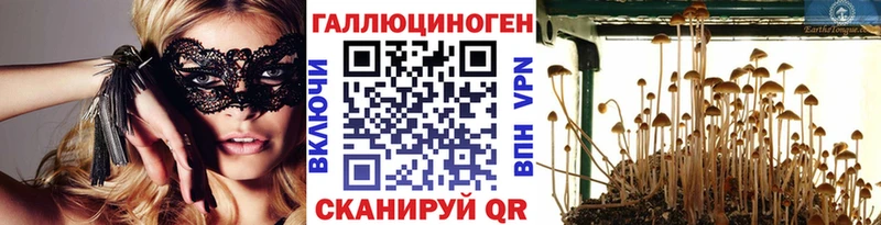 Купить где  Ессентуки  Галлюциногенные грибы GOLDEN TEACHER